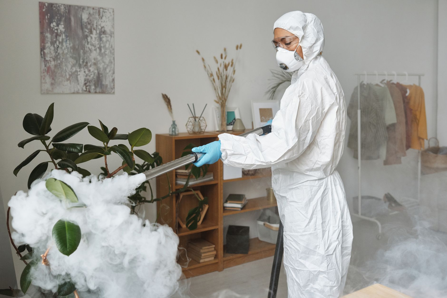 Ant & Roach Treatment – Helotes