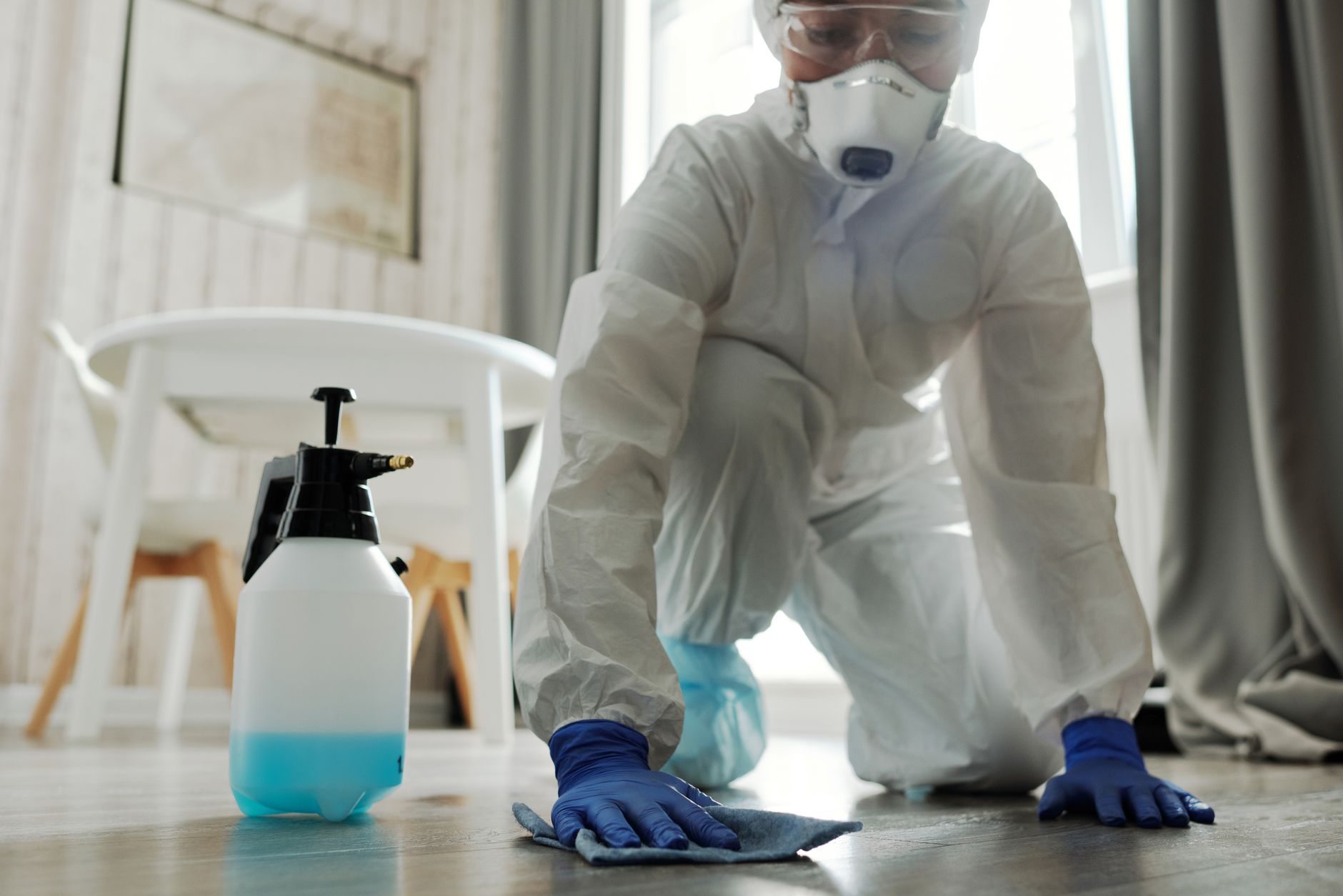 Wasp Nest Removal – Helotes